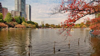 wisata jepang