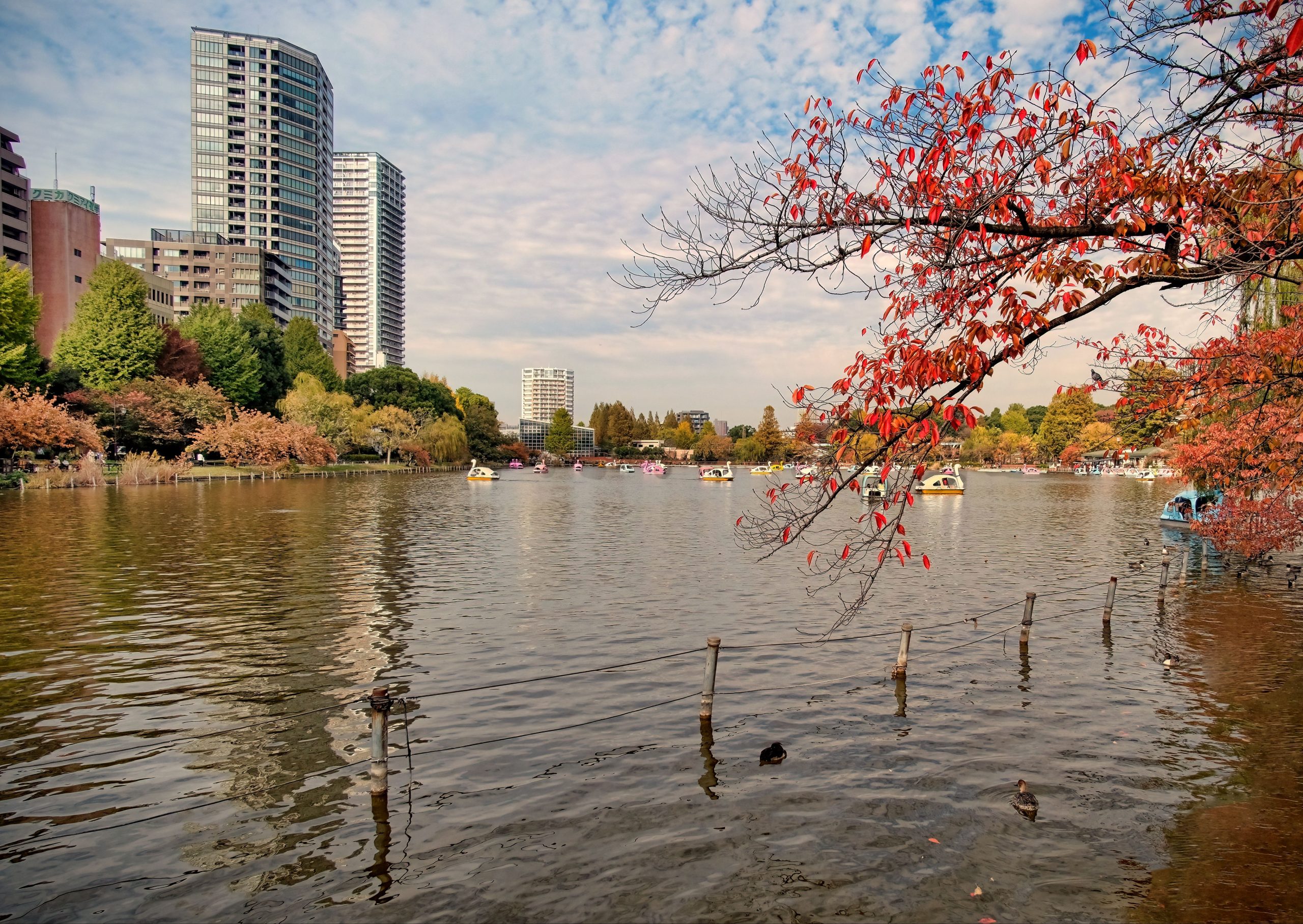 wisata jepang