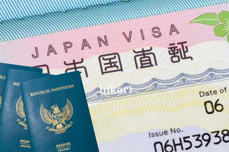 visa