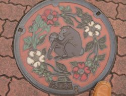 Manhole Jepang, Ketika Tutup Got Menjadi Karya Seni